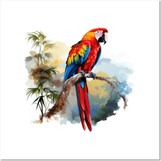 Macaw Lover Posters and Art